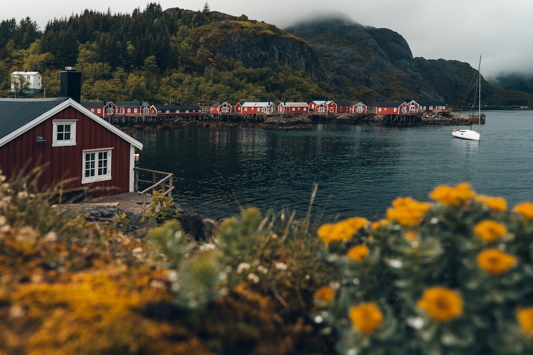 Gullens Rolle i Norsk Kultur: Fra Tradisjon til Moderne Tider